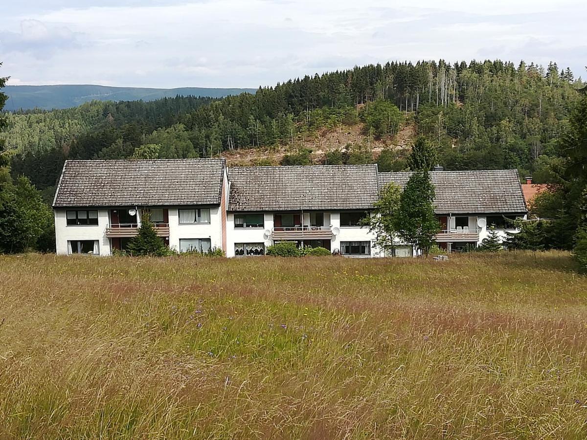 Ferienwohnung Am Kunstberg 29 Альтенау Экстерьер фото
